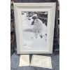 Image 1 : Limited Edition "Blue Shadows , Arctic Fox" Framed Print By Artist Ron Parker. 
