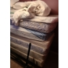 Image 5 : Mattresses, Blankets, Cushions (All Beds Twin Size), Includes Two Wooden Headboards and Frames 