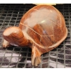 Image 10 : Artist Wooden Box with Decorative Plate, Sock Hangers, Horse Shoe Hook, Wooden Turtle