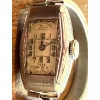 Image 2 : Lanark Swiss Ladies Swiss Made 15 Jewels Sturdy Staybrite Back Watch 