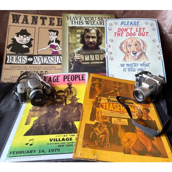 Vintage Film Cameras w/ Poster Collection - Kodak EasyShare Z710 7.1 MP