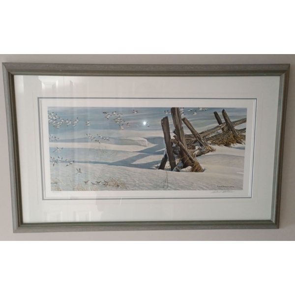 1986 Robert Bateman "Split Rail- Snow Buntings"  437/950 Art Print  36"x 23"tall