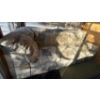 Image 2 : Half A Sectional Couch w/ Futon Mattress ++ Iron & Ironing Board