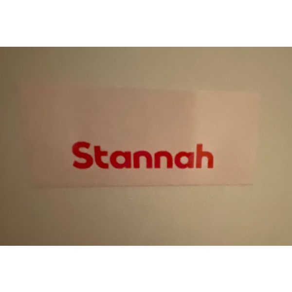 Stannah Mobility Assistance Stair Lift