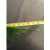 Image 18 : 17 Foot Artificial Pine Garland With Decorative Stems and Wreaths