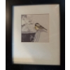 Image 2 : Adorable Bird Art Prints 12x13