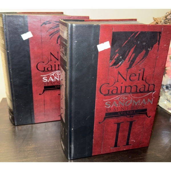 Graphic Novel Duo - The Sandman Neil Gaiman