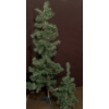 Image 1 : 2 Smaller Artificial Holiday Trees 