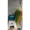 Image 2 : Outdoor Garden Supplies Collection