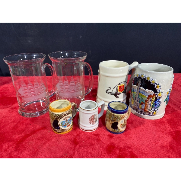Beer Steins - Lone Star Armadillo, Innsbruck, Bermuda, Zurich, and more