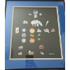 Collectible Lapel Pins-Framed & Mounted