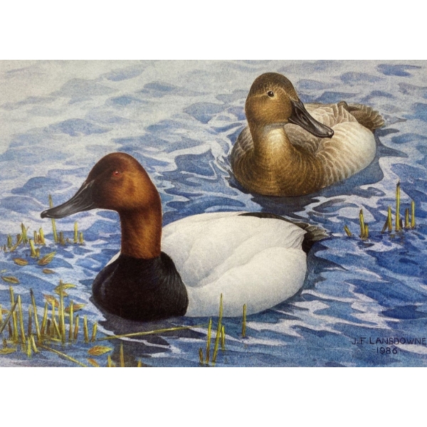 J. Fenwick Lansdowne "Canvasbacks in Spring" Signed Wildlife Habitat Canada Print