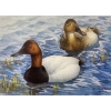 Image 1 : J. Fenwick Lansdowne "Canvasbacks in Spring" Signed Wildlife Habitat Canada Print