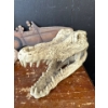 Image 3 : Yard Decor Collection - Decorative Stones From Mexico, Metal Decor, Alligator Head, Swinging Chair 