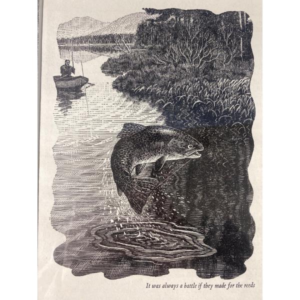  "It was always a battle if they made for the reeds". Illustration (7.75" x 5.75" Before Frame)