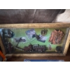 Image 3 : Fire Fighter Collectibles - Shadow Box Wall Art 17L  Fire Trucks & Bikes & More 