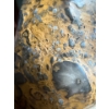 Image 5 : Ken Li Beautiful Original Artwork, Fossil Stone Owl 8-779, Size is 2.5 x 2.5 x 4.5 