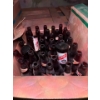 Image 2 : Heildberg Beer bottles in original cases 6 total with large box of 36 bottles . 