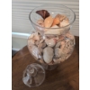 Image 5 : Coastal-Inspired Lot With Glass Jar, Decorative Shells, Necklaces, and Starfish