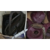 Image 6 : McCormick-Deering Butter Churner Parts Lot