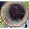 Image 7 : Red Lion RL350-1 Electric Concrete Mixer