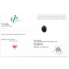 Image 3 : 50.75 ct Certified Star Sapphire gemstone ($23,050 Appraisal)