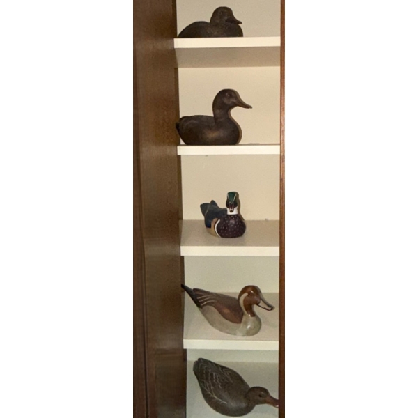 Ducks Unlimited Decoys: W/ Tall Neck: 6 W, 16 D, 8 T , Others Smaller