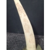 Image 7 : Indigenous Art Carved Ivory on Soapstone Base, Artist: Simanuk Kilabuk, 4 W, 4.5 D, 10.5 T 