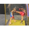 Image 11 : Collectible Star Wars Merch, Andrew Luck Figurine and Thai Boxers In a Glass Box