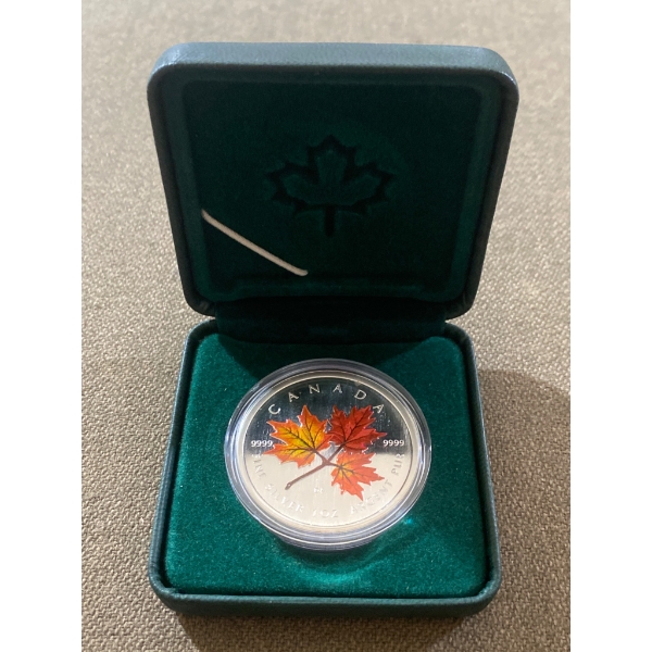 2001 Canadian Maple Leaf 1 oz Silver Coin with Colorized Design