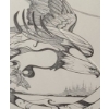 Image 3 : Print of Eagle Numbered 99/250, Artist: Calvin Cornish, 16 x 16 Framed Under Glass