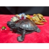 Image 3 : Collection of Turtles Many Sizes