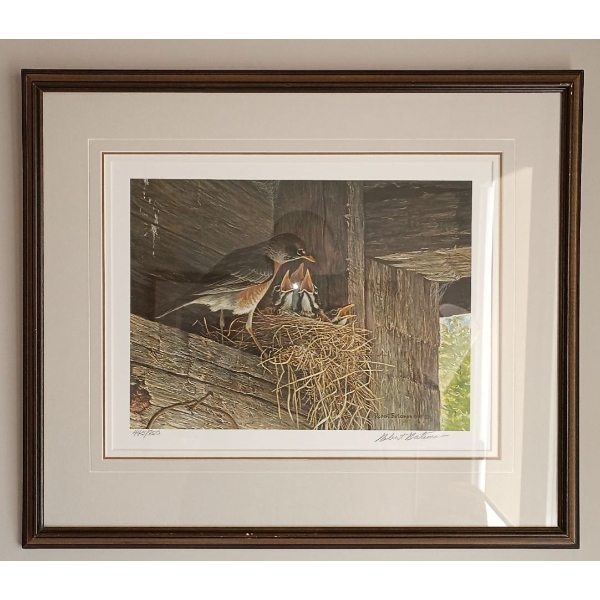Robert Bateman's "Robins At The Nest" Art Print  445/950  25" x21" tall