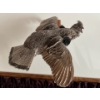 Image 2 : Sharp-tailed Grouse and rough tailed grouse wall hang mounts both are vintage in great shape . 