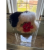 Image 1 : Vintage Lades Feather Hat
