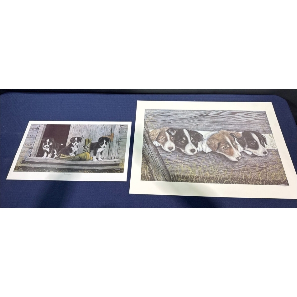 Alex Halliburton Campbell River Collies Print 22T 32W & Boarders And Boots Print 14T 24W