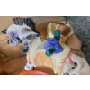 Image 4 : Ceramic Nativity: Camel 7 T and Zebra 7 W, 7 T, Plastic Carolers, Painted Wooden Set and More!
