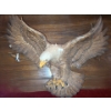 Image 1 : Eagle Ceramic Wall Art 23 X 18 