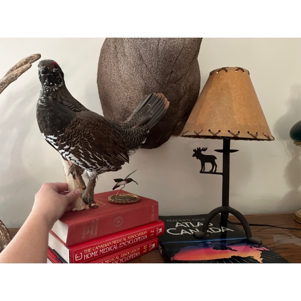  taxidermy Prairie chicken with cabin style lamp and books