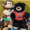 Image 3 : Childrens Lot Featuring Plushies, Twin Comforter, Books, and Novelty Lights