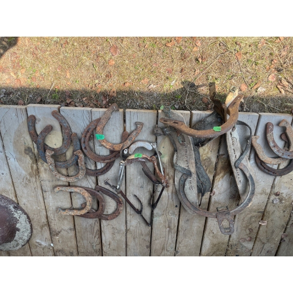 Antique Horse Dentistry Bridal Old Saddle Frame & 12 Horseshoes 