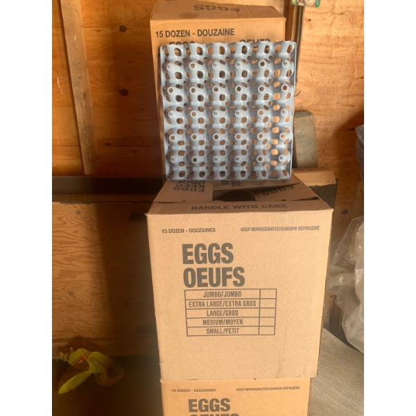  Nine Cases of new Egg Cartons 
