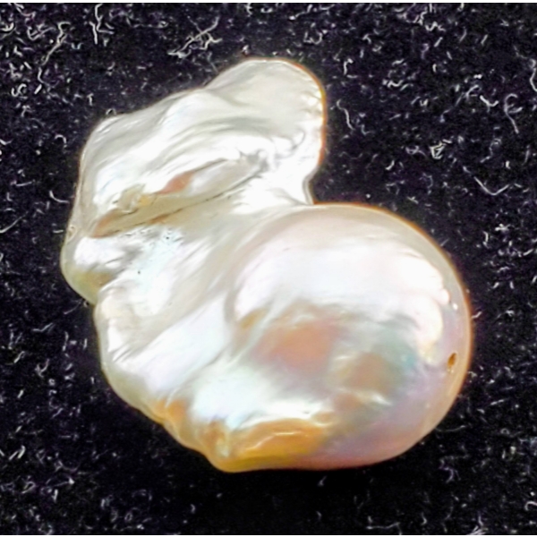 Pearl (36.2 ct, 31×20×14.5 mm Baroque)