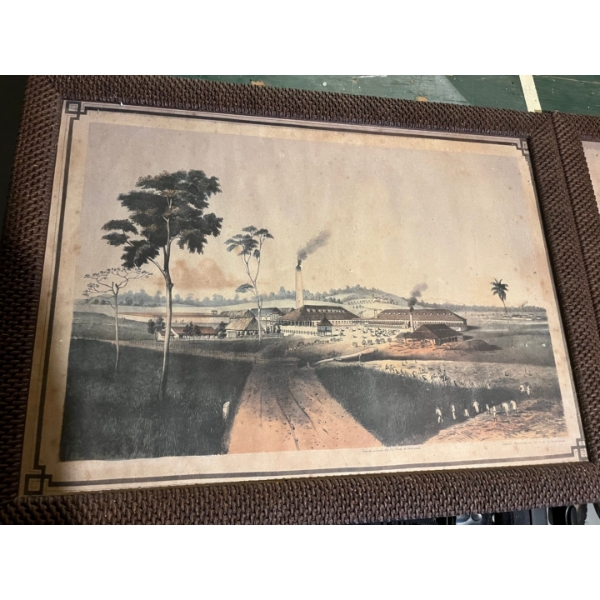 amazing vintage printed wicker framed pictures from Trinidad early 1900s 30“ x 23“