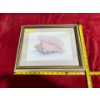 Image 1 : Shells Painting by Dorris Morgan (13.75 x 10.75" Before Frame)
