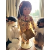 Image 4 : Indigenous Porcelain Doll Collection Incl. Memeluck Fur Doll CO. Doll, Buffalo Child, Little Flower