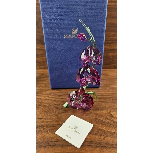 Swarovski Crystal Orchid Flower Figurine with Presentation Box