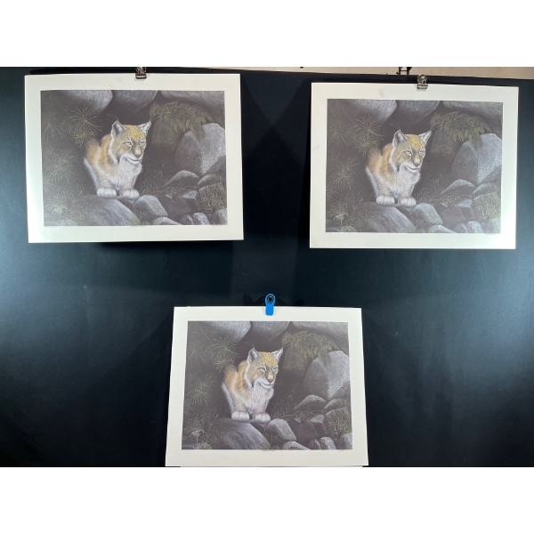 Alex Halliburton 3 Copies of Woodland Watch 16Tx21W