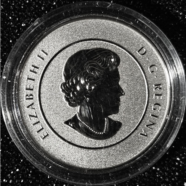 2013 $20 for $20 Iceberg and Whale - 99.9% Fine Silver Coin - #3