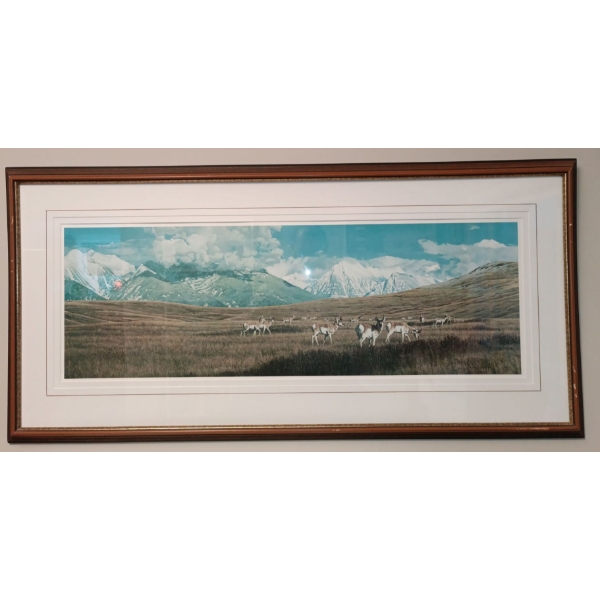 Rod Frederick 1982 Print- Mountains & Antelope Picture  " Early Evening Gathering"  Limited Pr